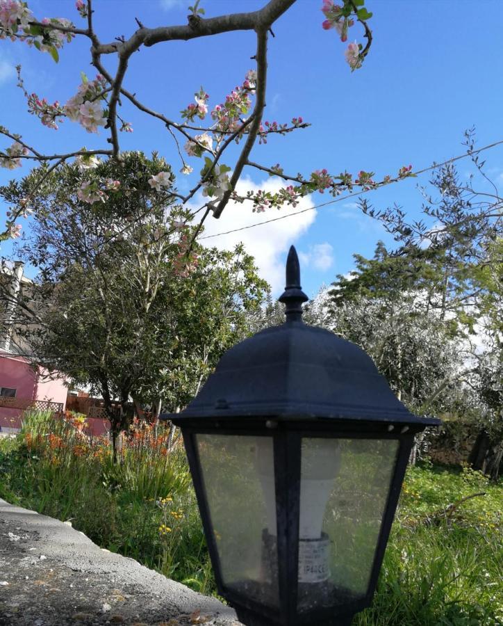 Albero Della Musica Bed & Breakfast Sassari Bagian luar foto